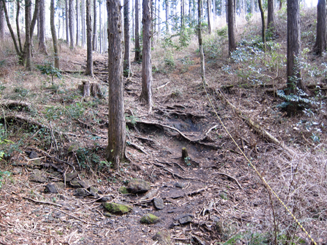 20200122hike (123)